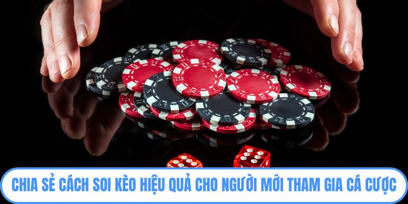 Chia sẻ cách soi kèo hiệu quả cho người mới tham gia cá cược
