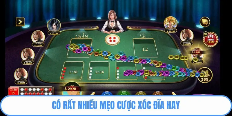 Có rất nhiều mẹo cược xóc đĩa hay