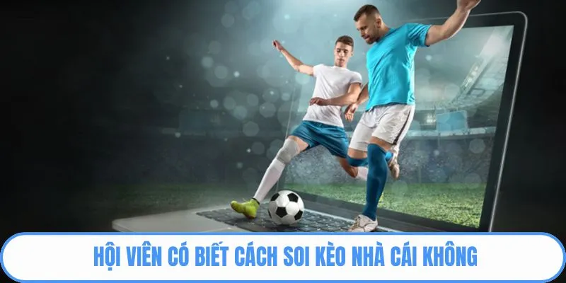 Hội viên có biết cách soi kèo nhà cái không