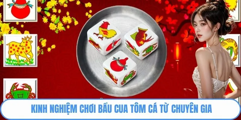 Kinh nghiệm chơi bầu cua tôm cá từ chuyên gia