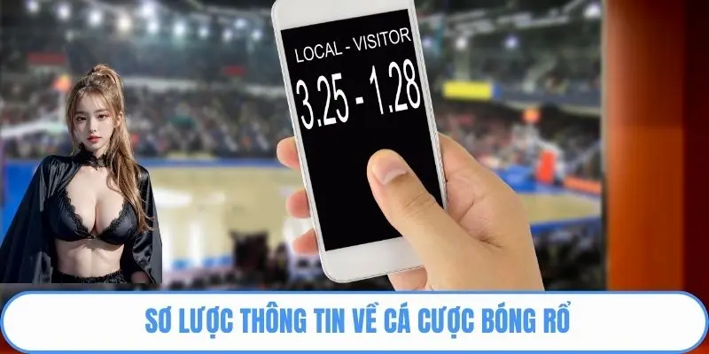 Sơ lược thông tin về cá cược bóng rổ